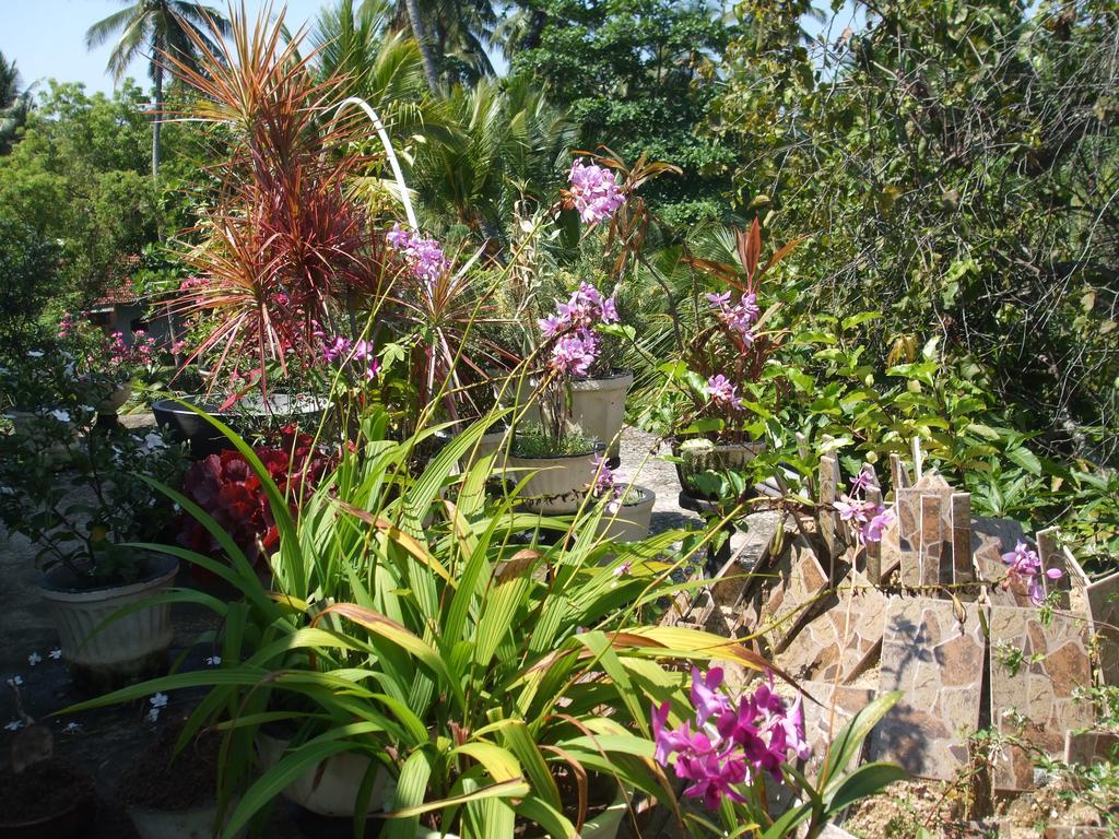 Daffon Guest House Negombo Exterior photo